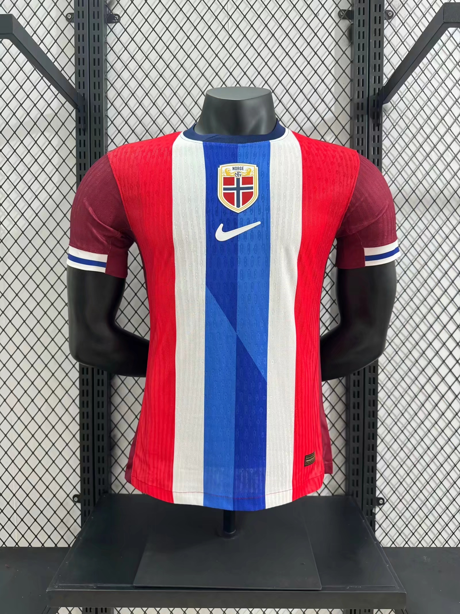 Player Version Norway 2024/25 Home S-4XL