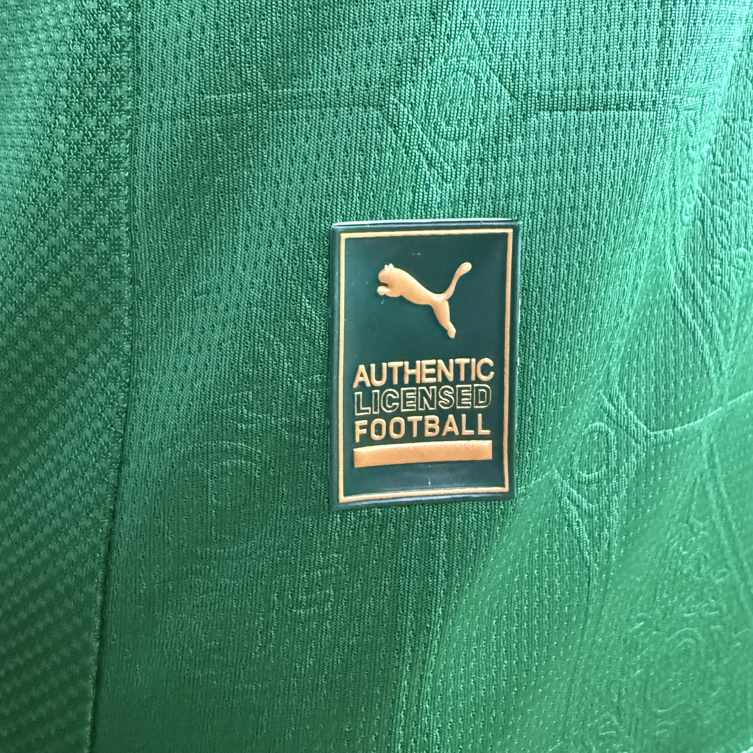 Player Version  Palmeiras 25/26 Home Green