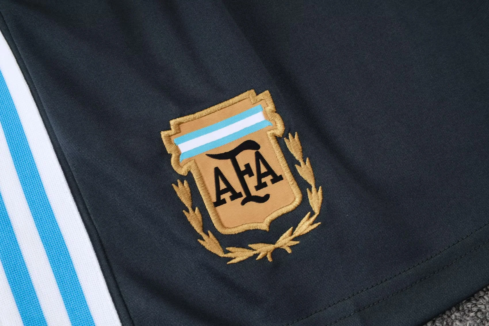 2526 Argentina Short Sleeves Training suit  D2559#