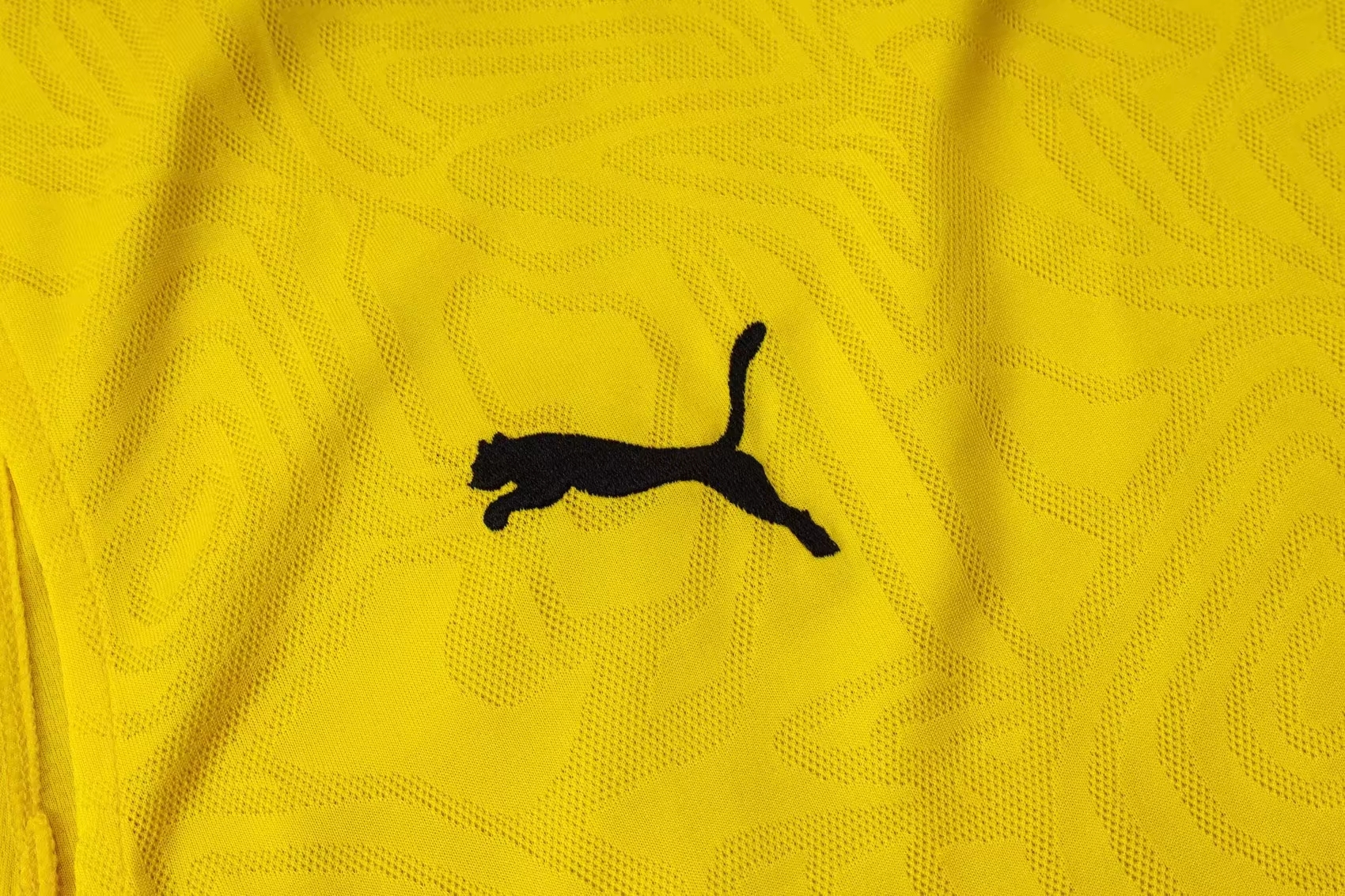 Dortmund Sleeveless training suit