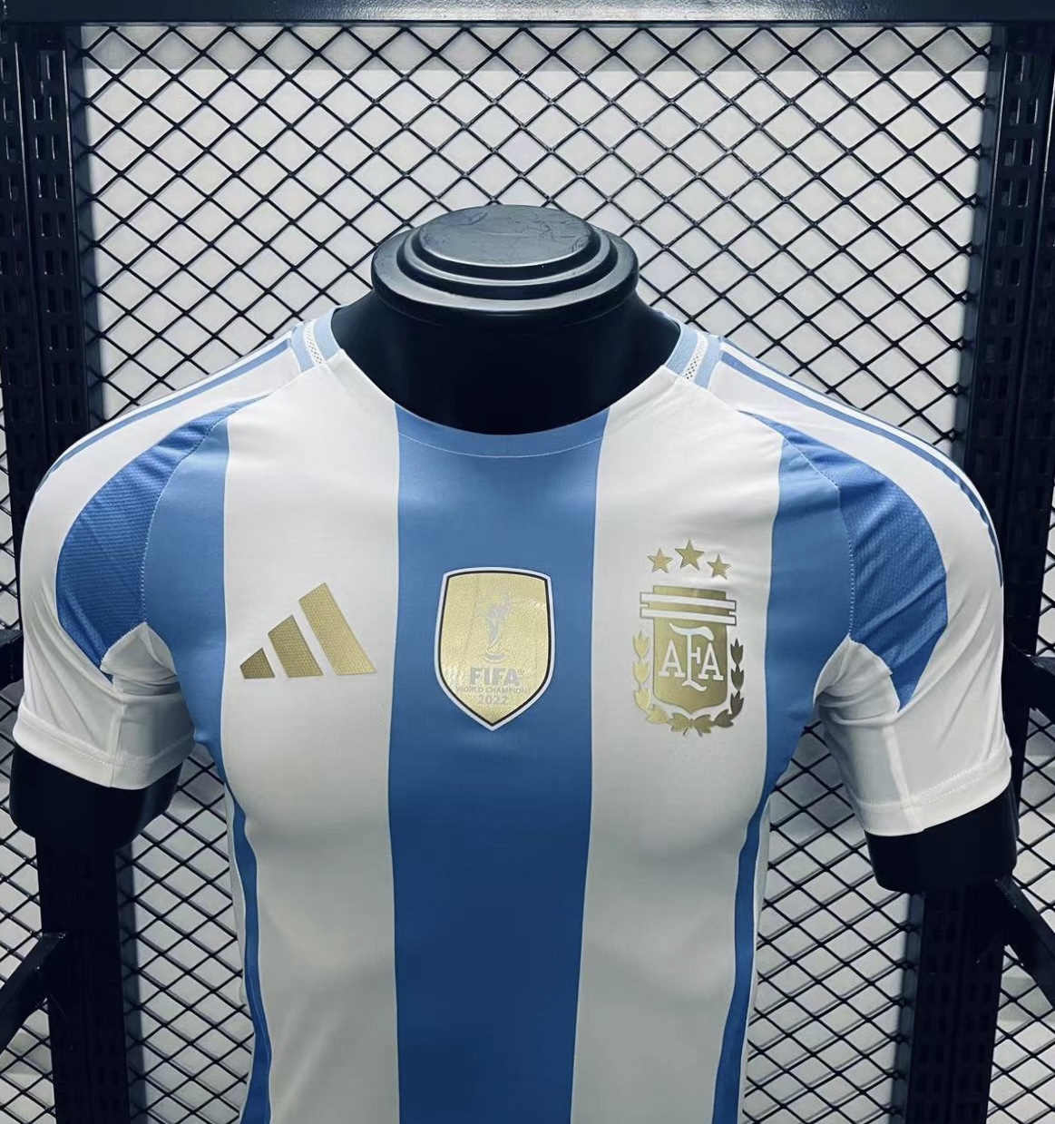 Player Version  Argentina 24/25 Home