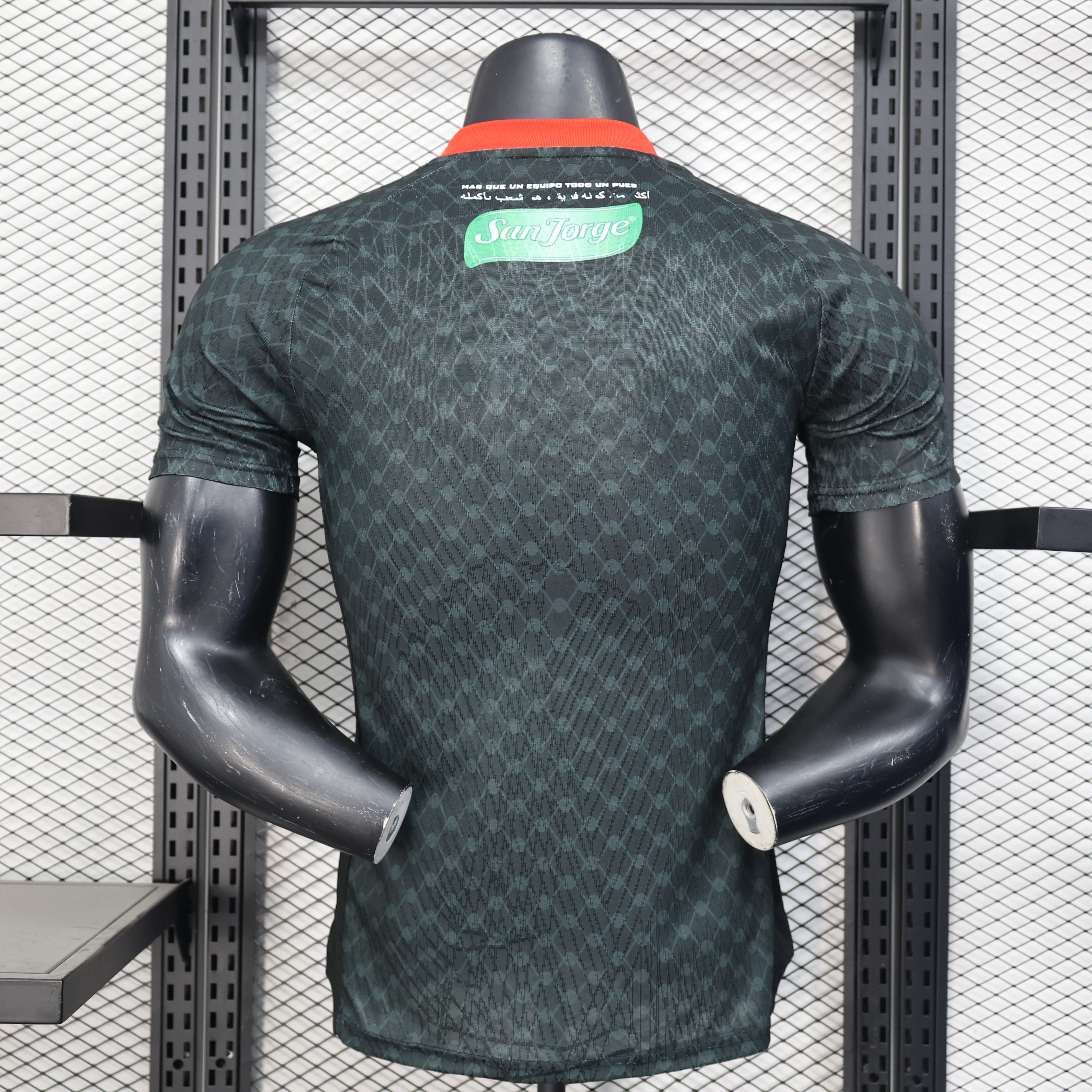 Player Version Palestino Deportivo 25/26 Away  S-XXL