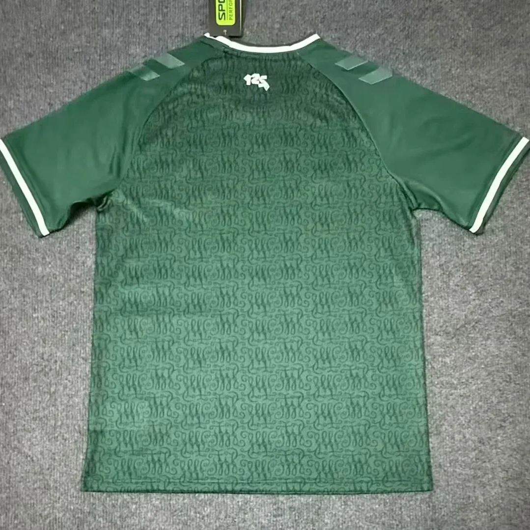 SV Werder Bremen 2526 Special  S-4XL