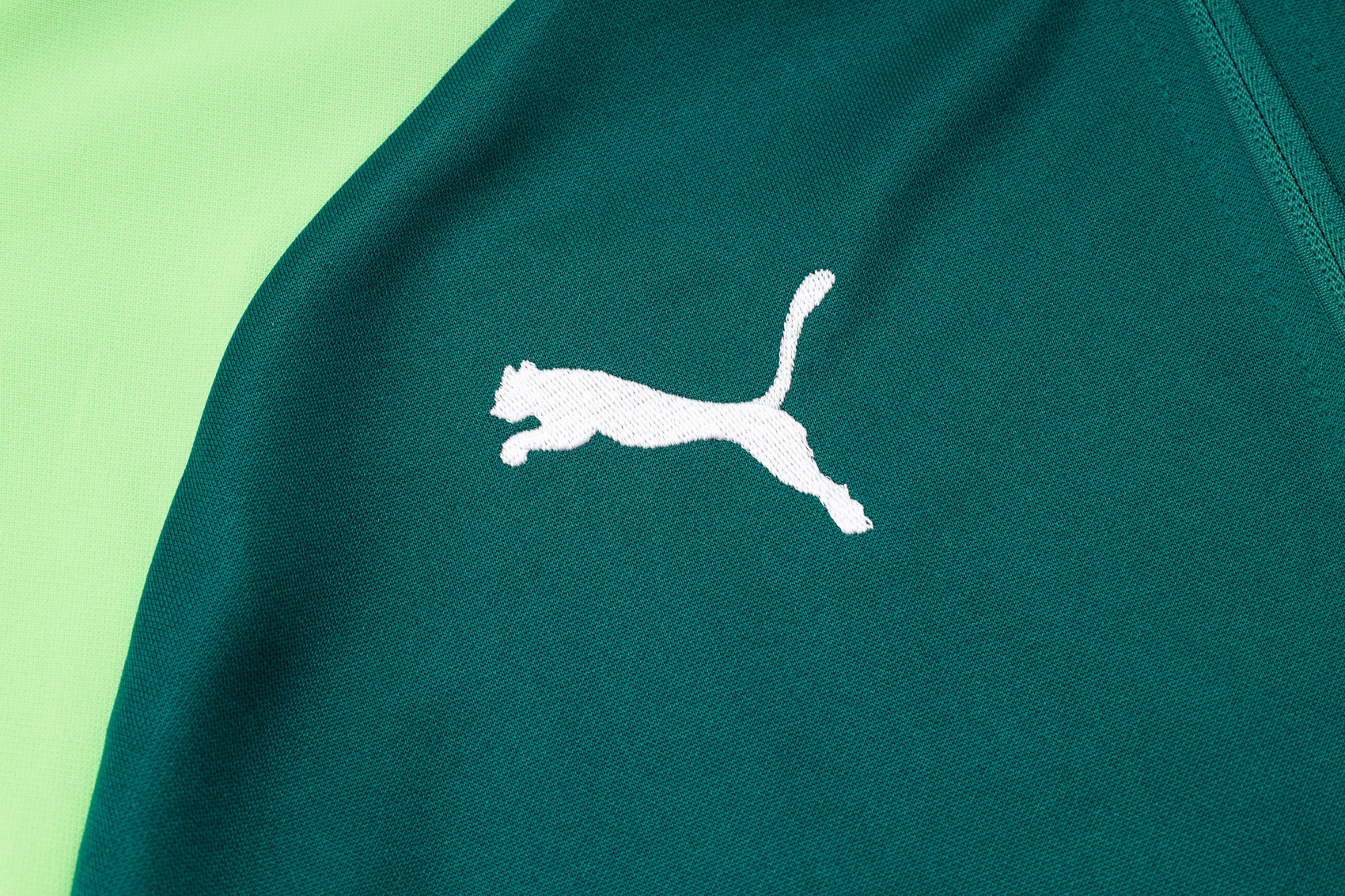 Palmeiras Full Zipper Training Suit A742