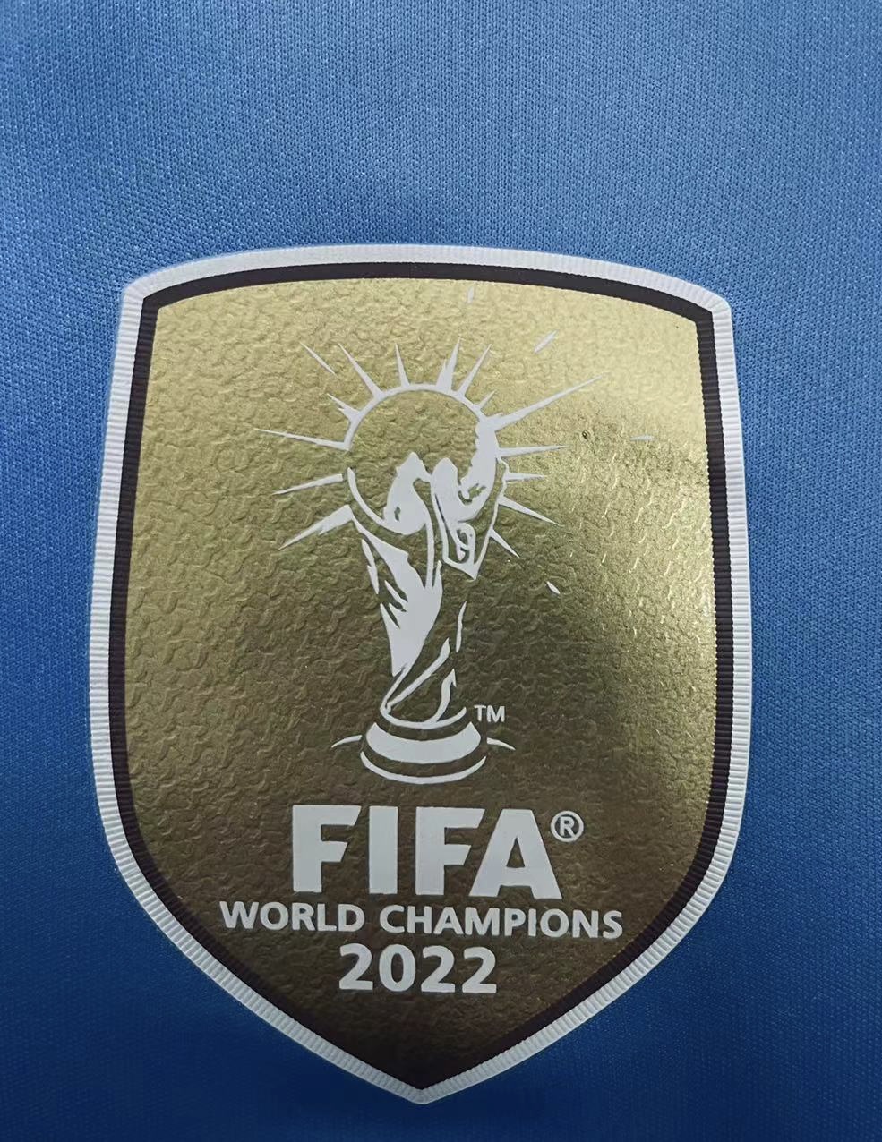 Player Version  Argentina 24/25 Home