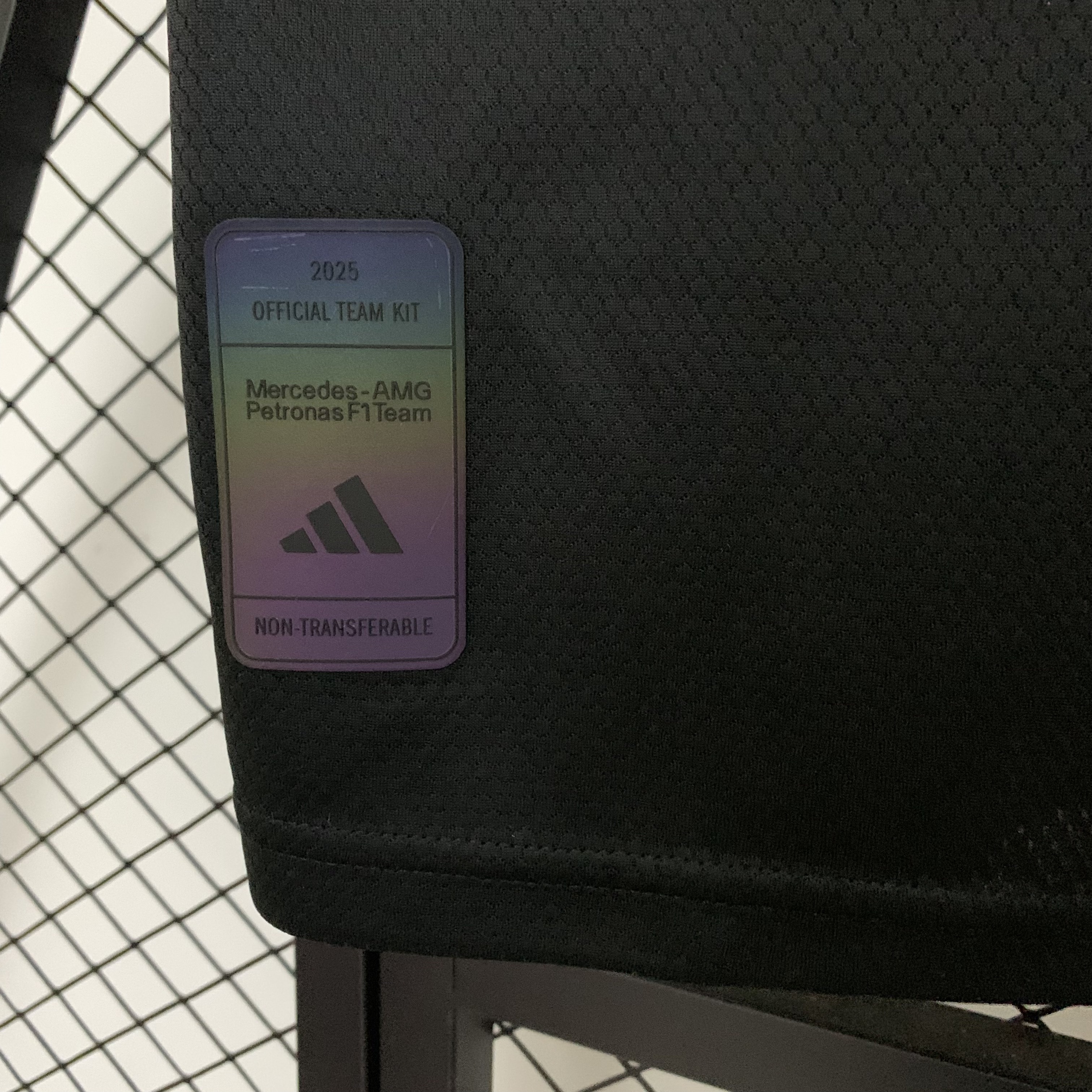 2025 F1 Mercedes-AMG Petronαs S-5XL