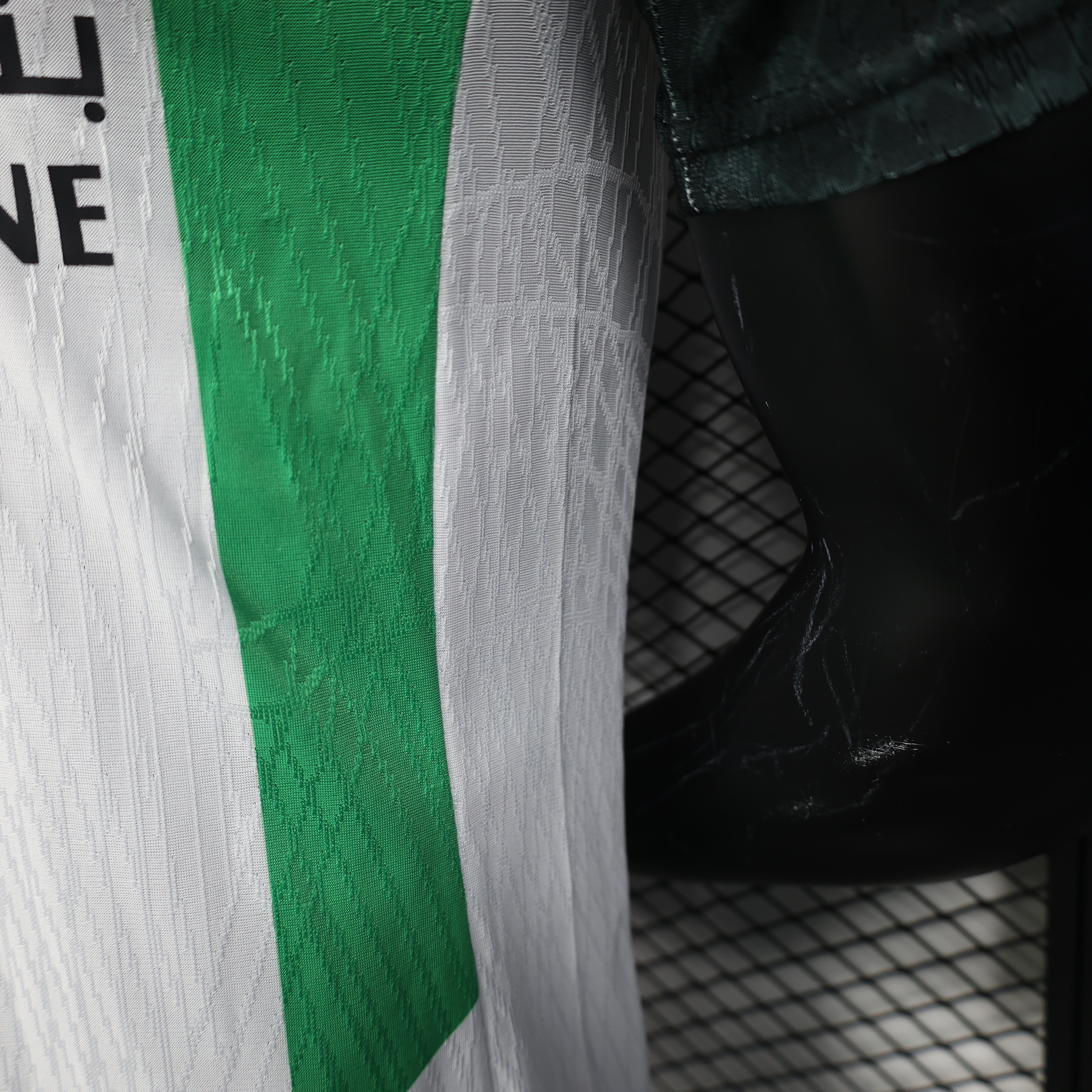 Player Version Palestino Deportivo 25/26 Home  S-XXL