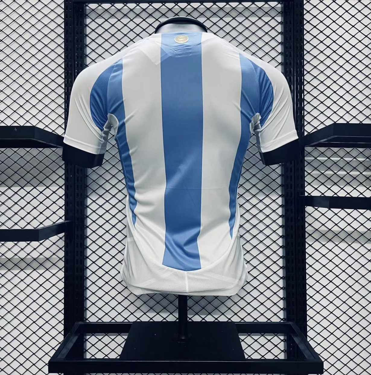 Player Version  Argentina 24/25 Home