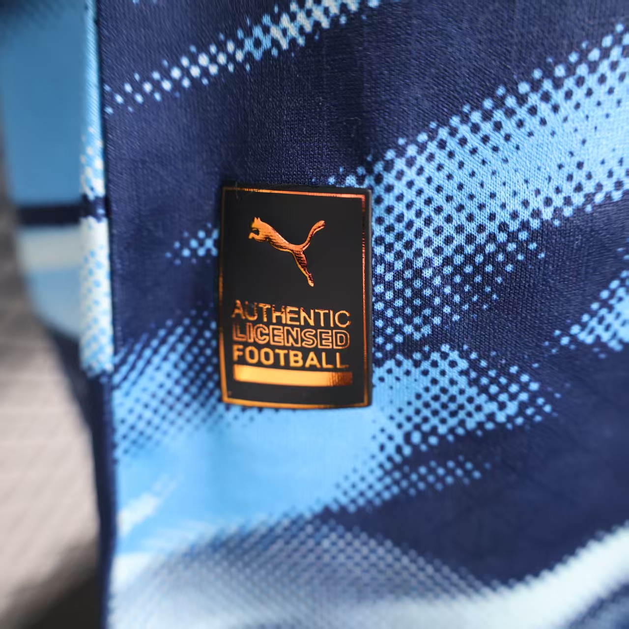 Player Version Marseilles 25/26 Training S-XXL