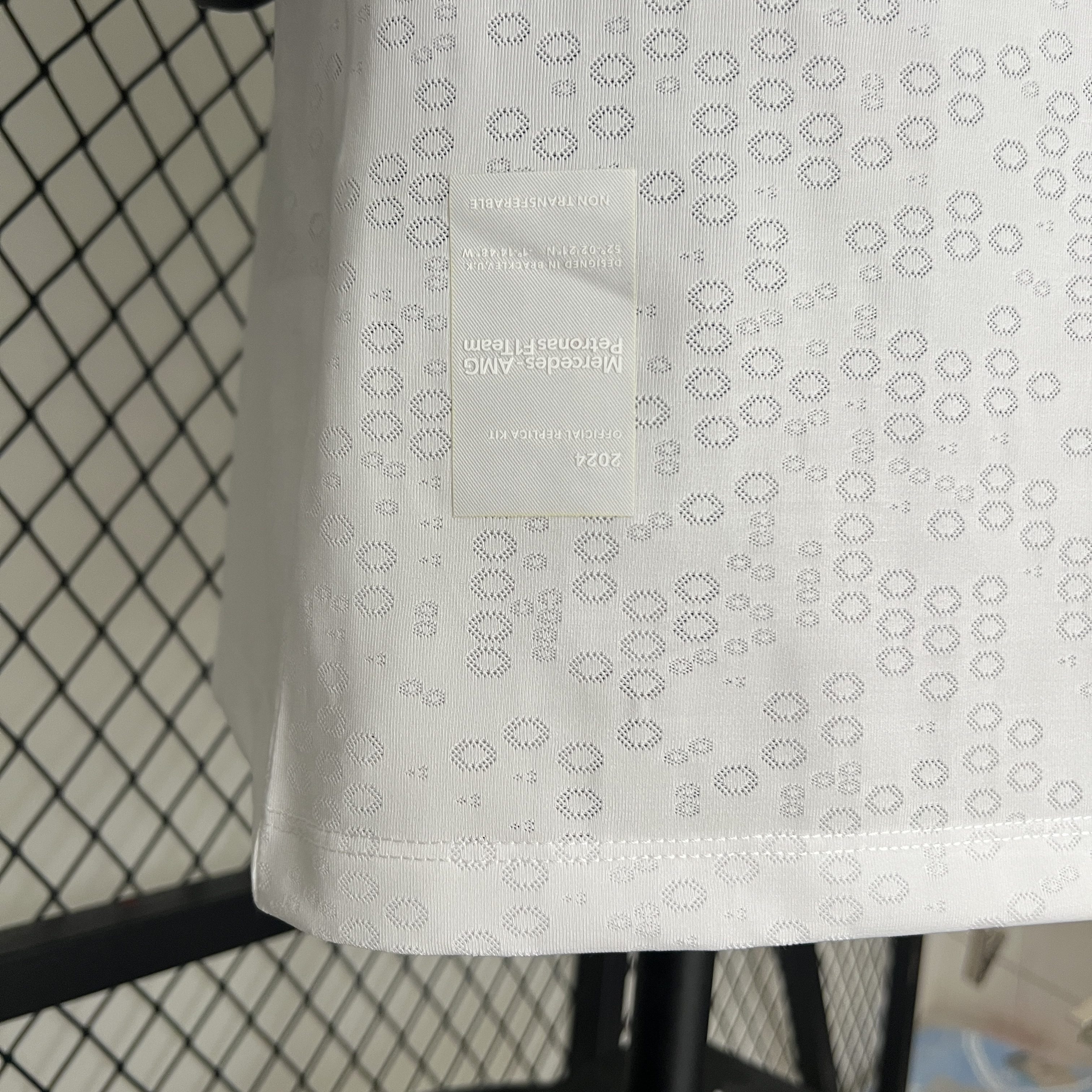 2024 F1 Mercedes-AMG Petronαs S-5XL