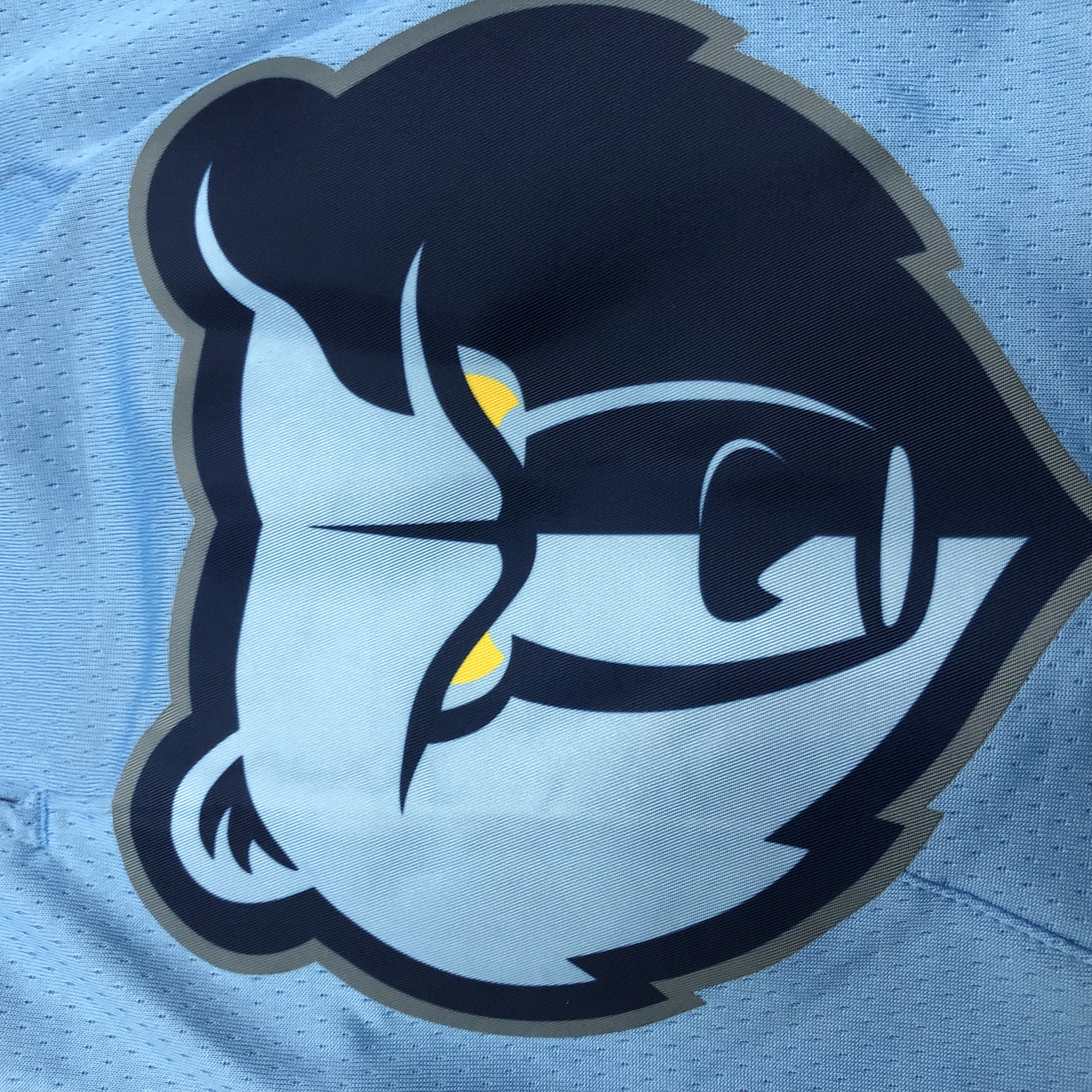 Grizzlies Flyers Shorts