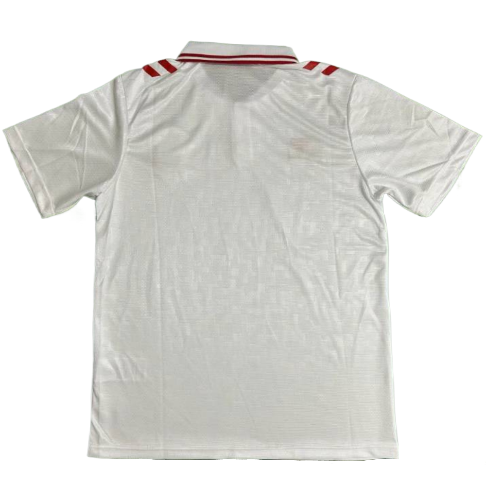 Denmark 2024 Away S-XXL