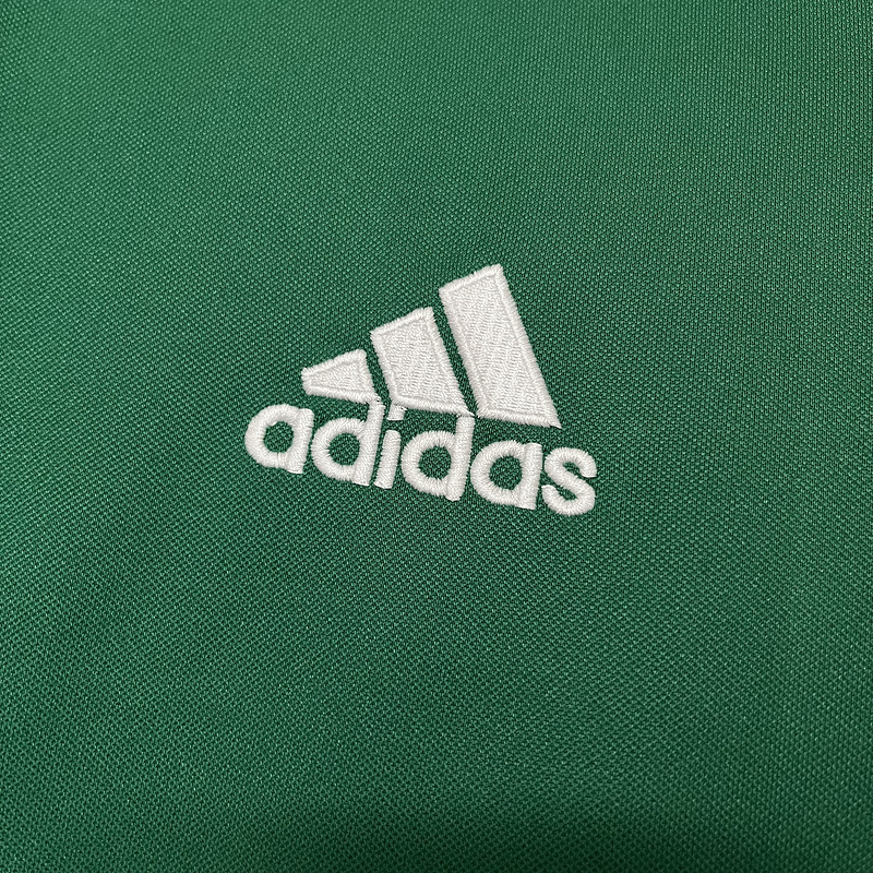 Retro  Palmeiras 2014 Green