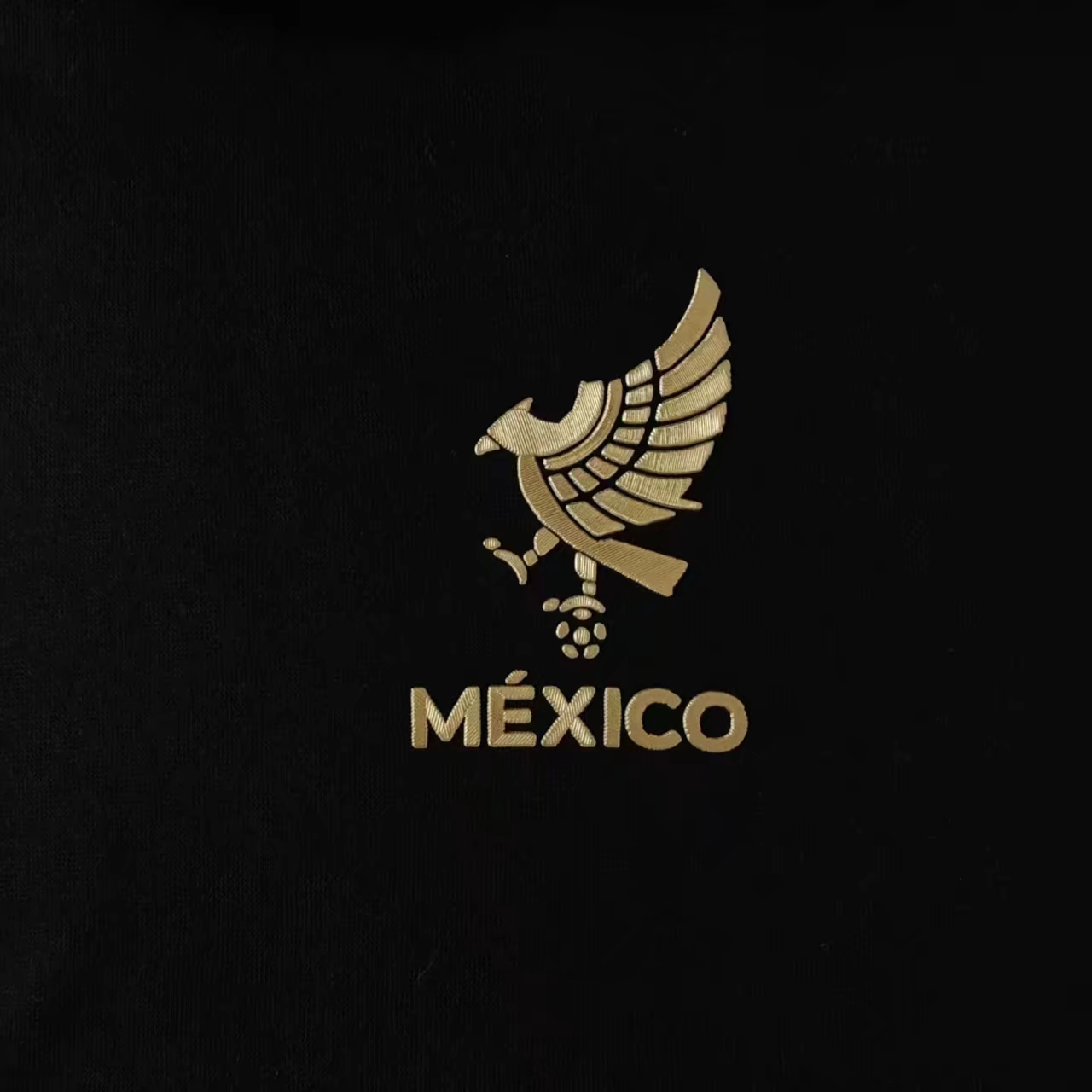 Mexico Gold Cup Sweater