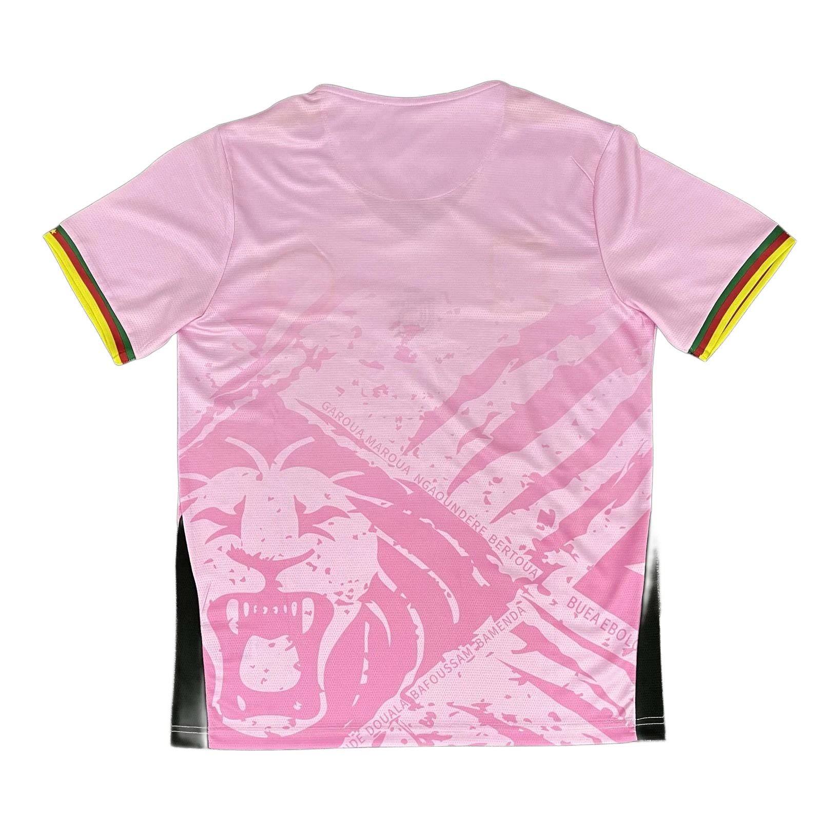 Cameroon 25/26 Pink S-XXL