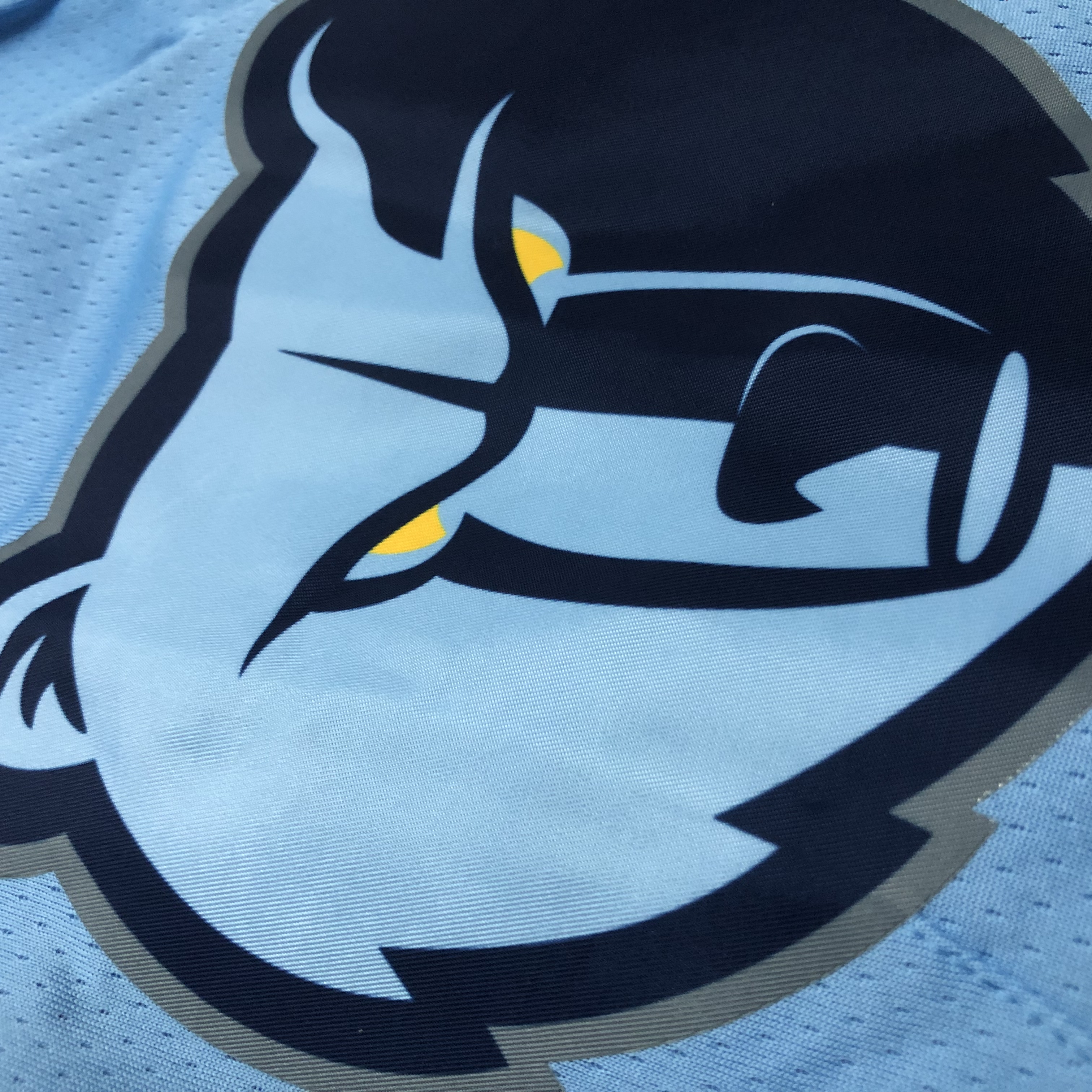 Grizzlies Flyers Shorts