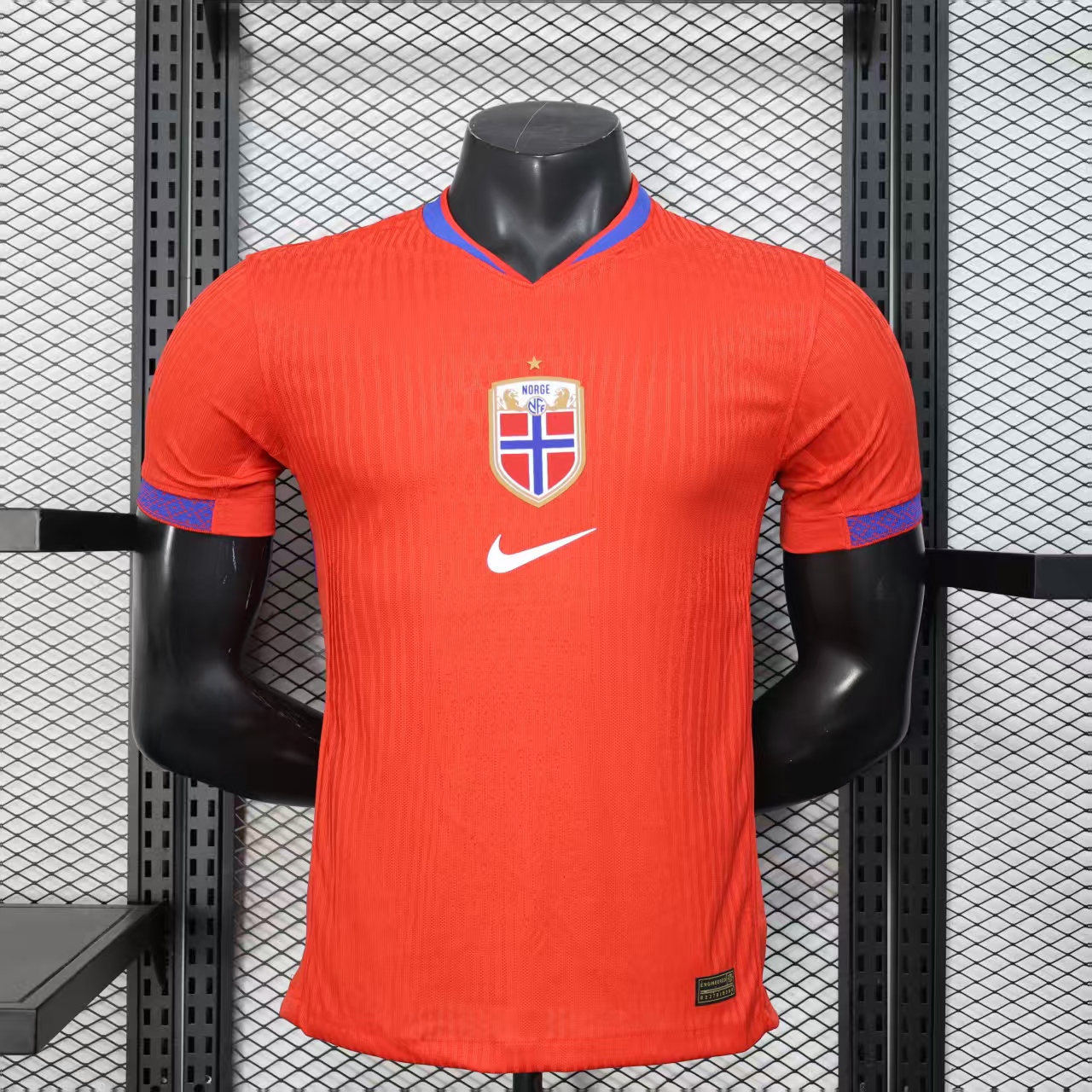 Player Version Norway 2025 Home (Women's Team)