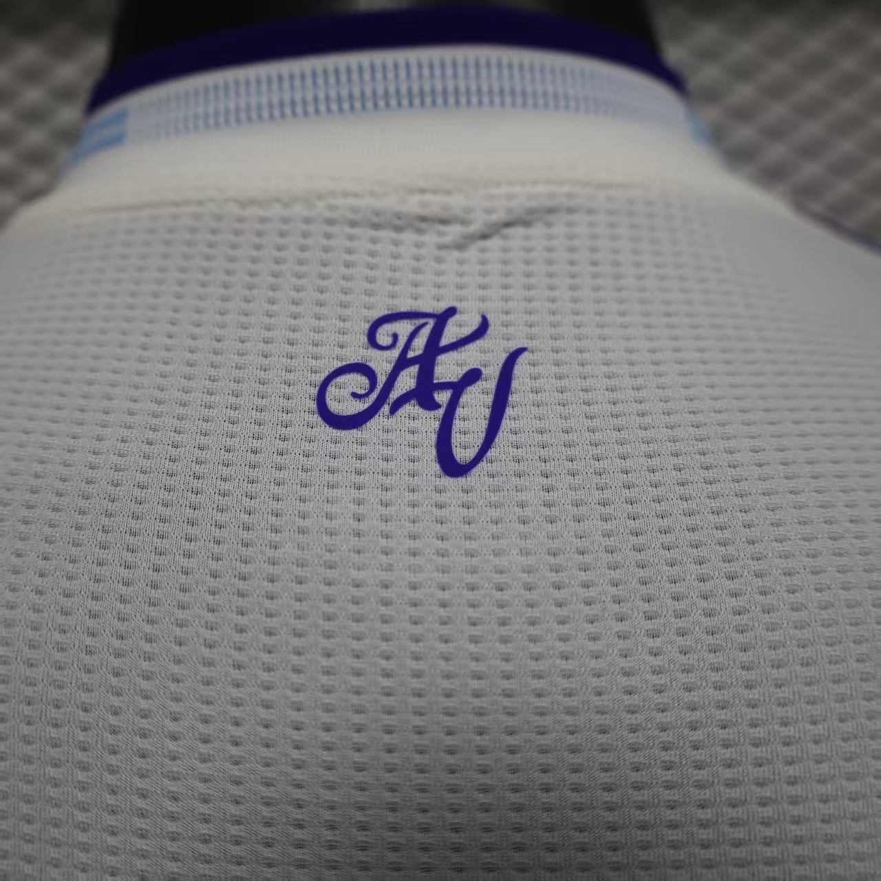 Player Version 2526 Aston Villa Third S-XXL