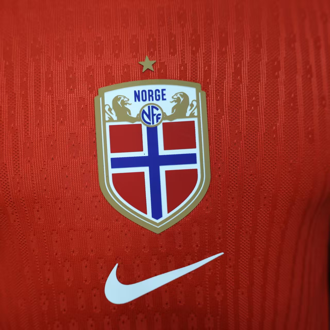 Player Version Norway 2025 Home (Women's Team)