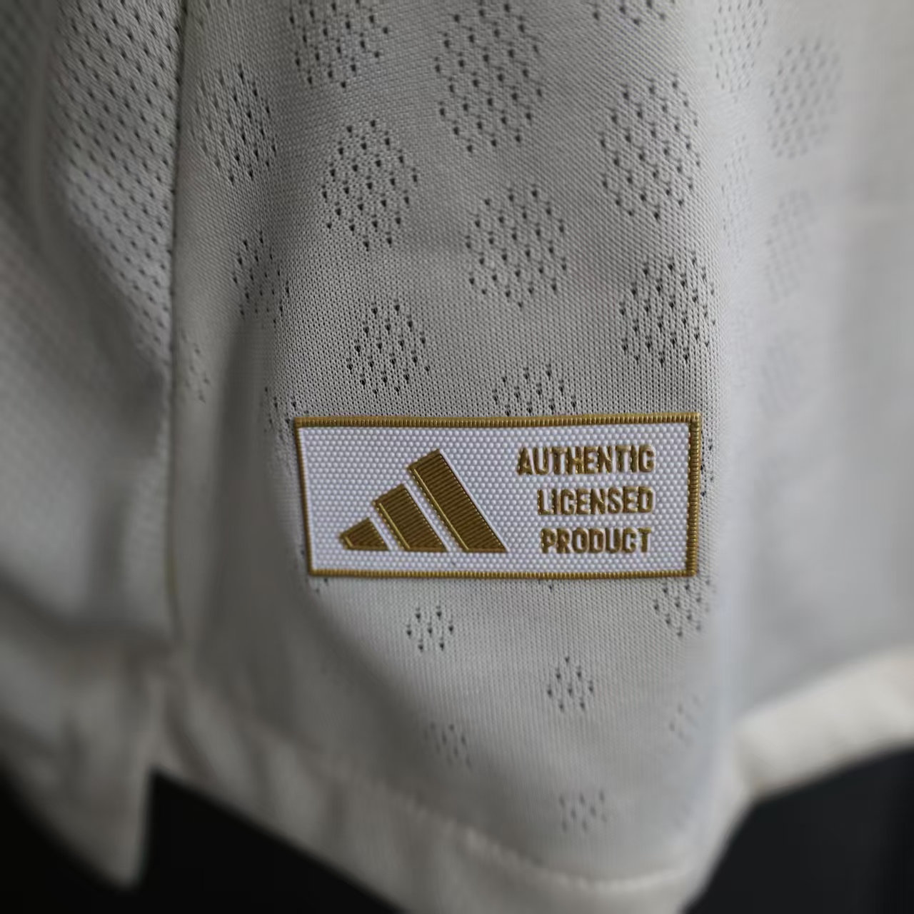 Player Version LVP 25/26 Away Long Sleeves S-3XL