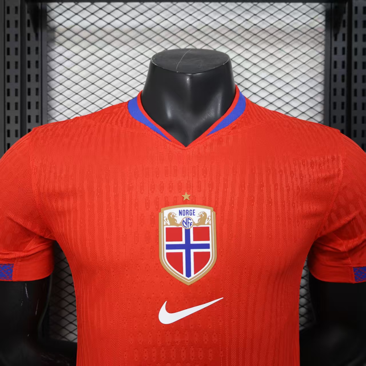 Player Version Norway 2025 Home (Women's Team)