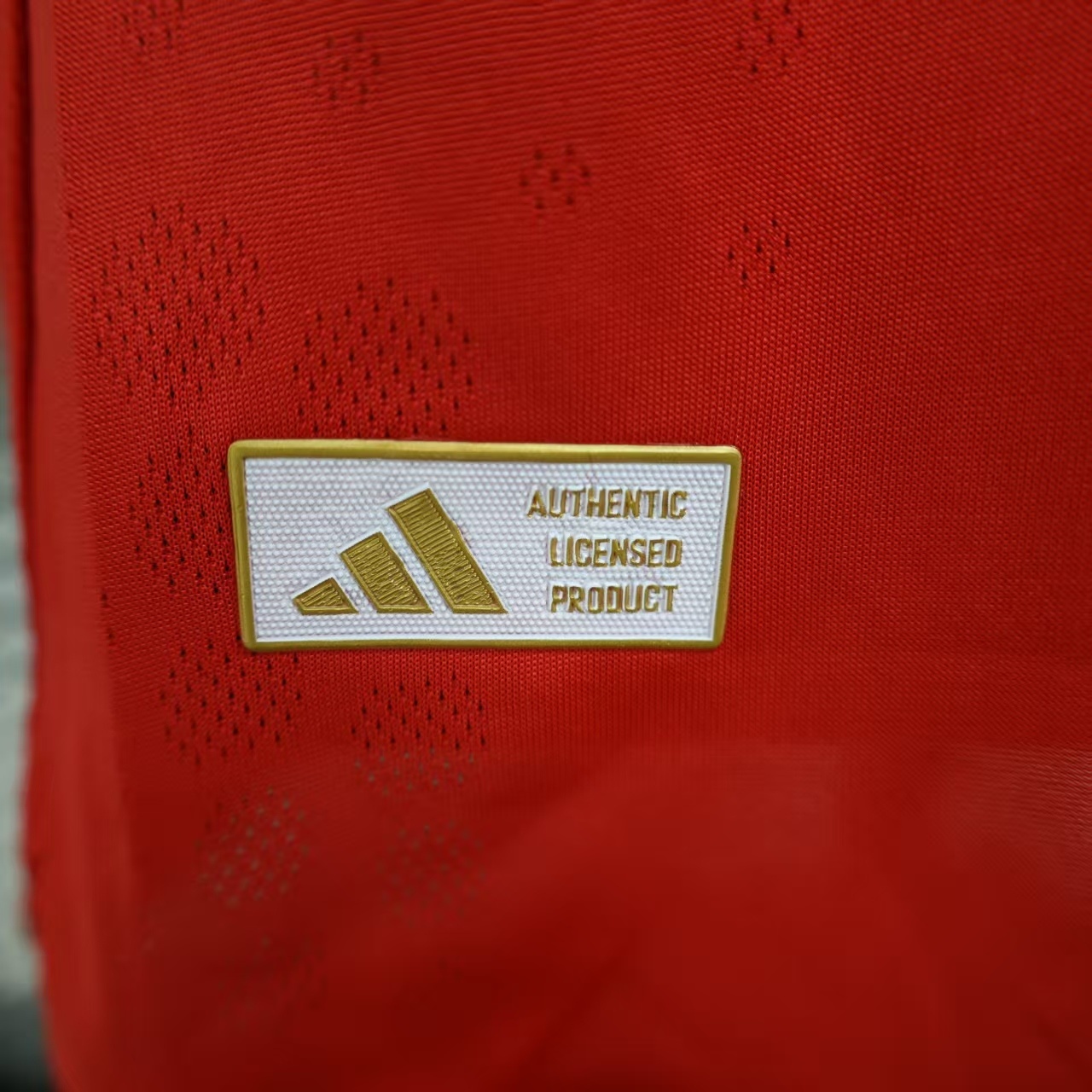 Player Version Benfica 25/26 Home  S-XXL