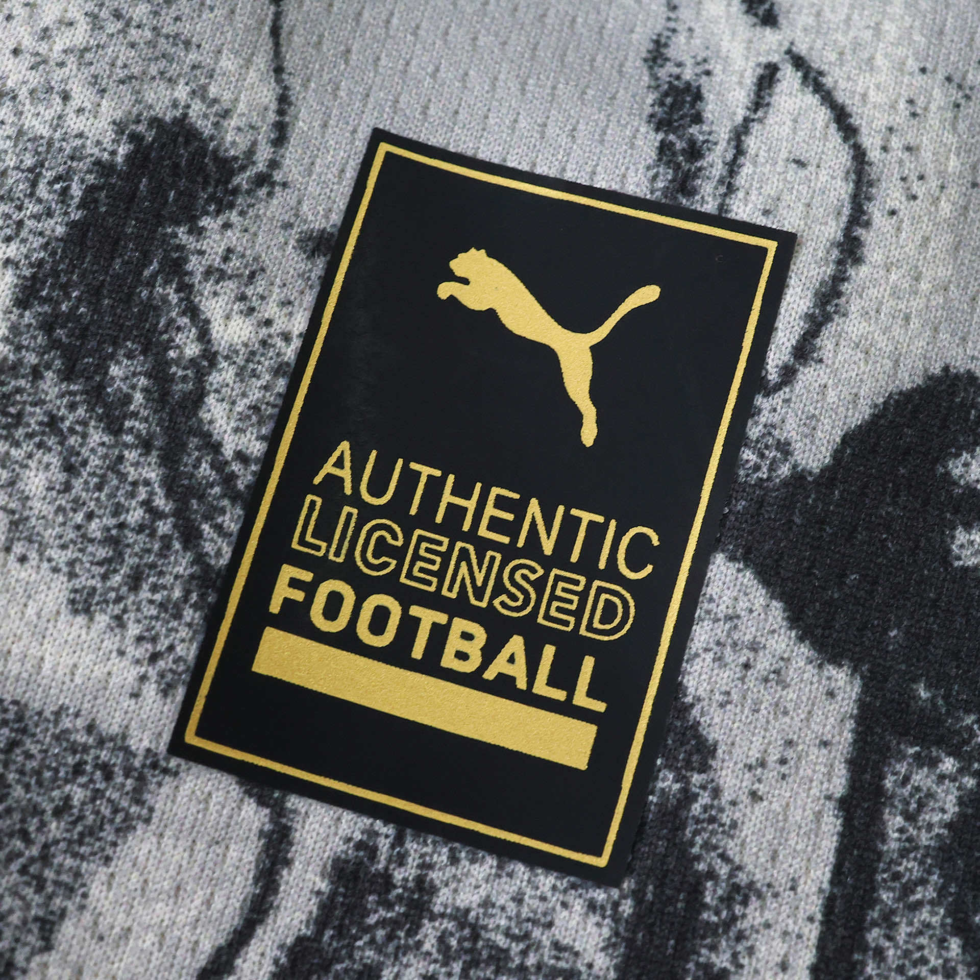 Man City Year of the Horse Fan version