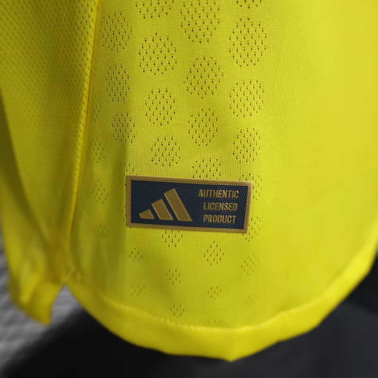 Player version Club América 25/26 Home Long Sleeves