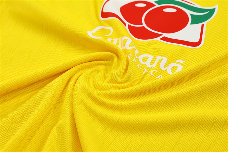 Brasil 25/26 Half Zipper Training Suit