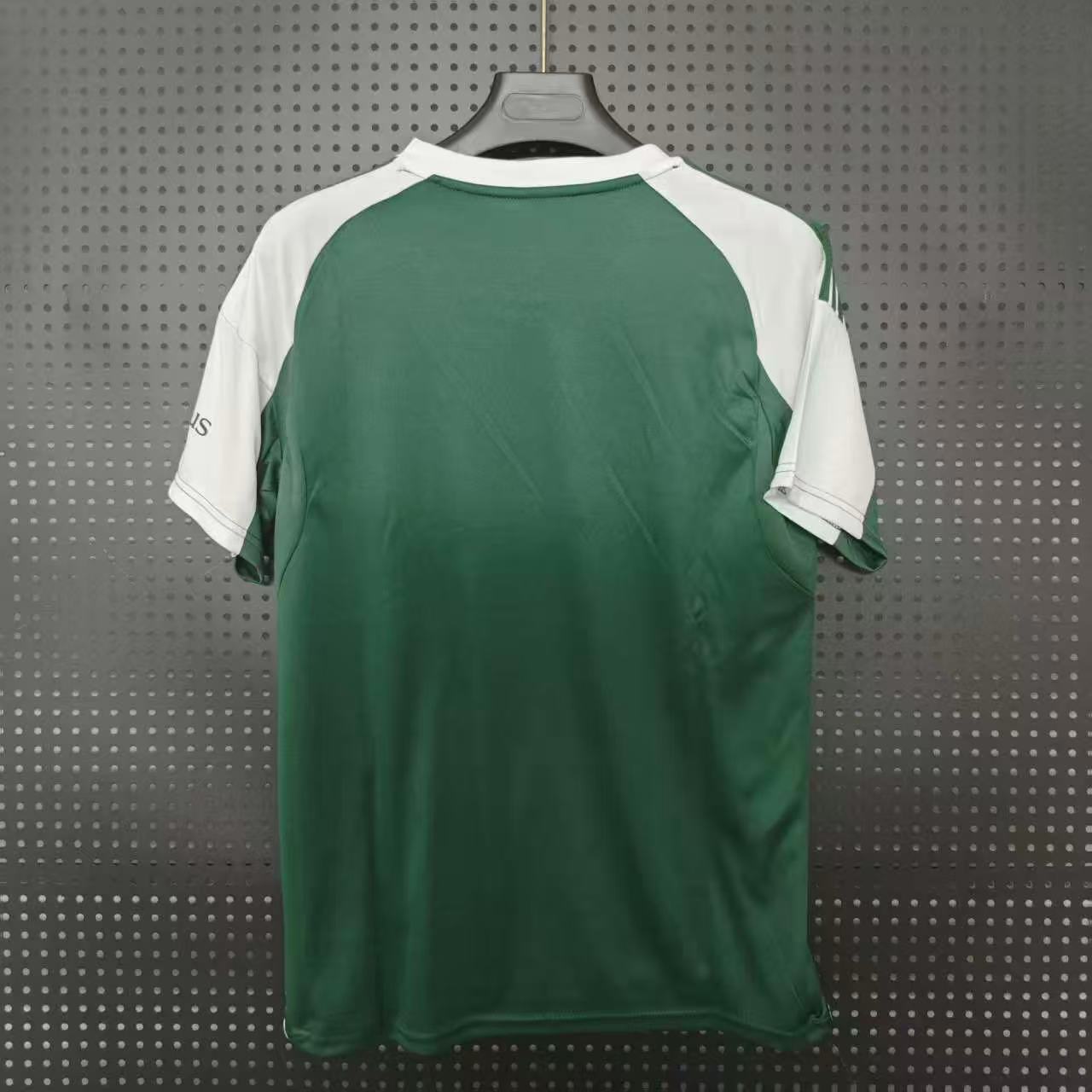 Panathinaikos F.C. 25/26 Home S-XXL Fan Version
