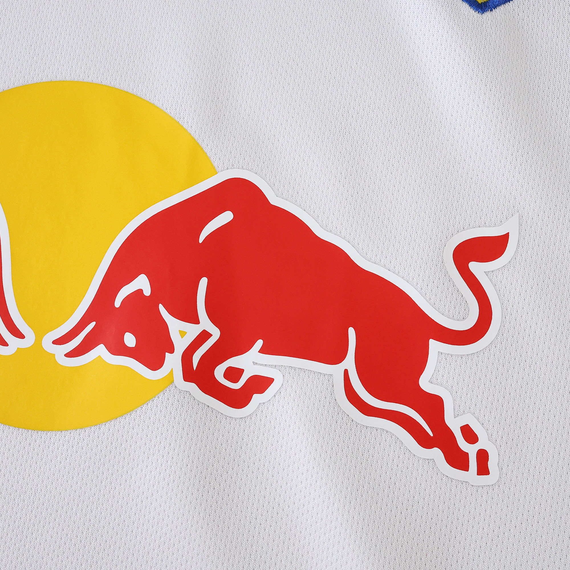 Leeds United 25/26 Home S-4XL Fan Version