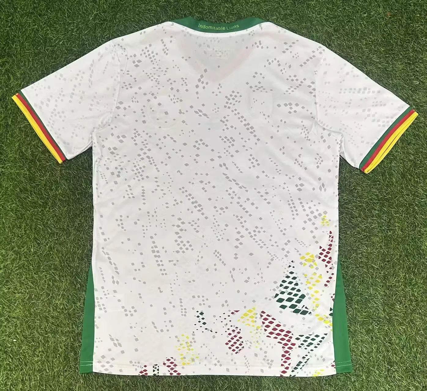 Cameroon 26/27 White S-XXL
