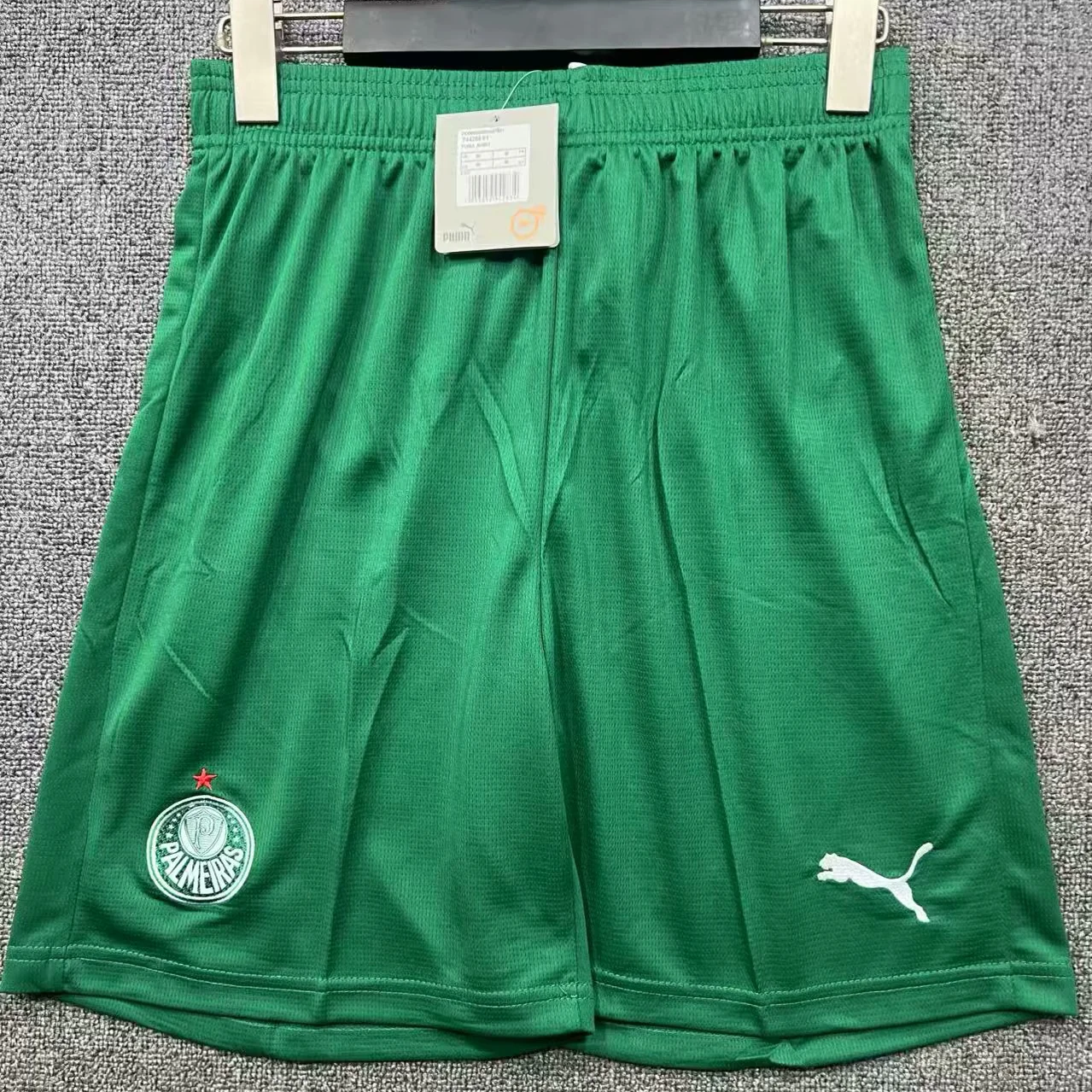 Palmeiras 26/27 Green Shorts
