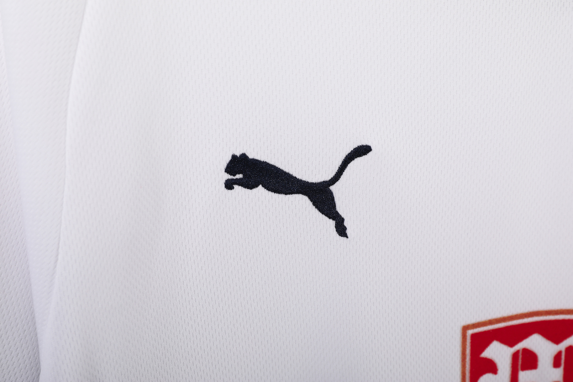2008-2009 Tottenham Hotspur home jersey