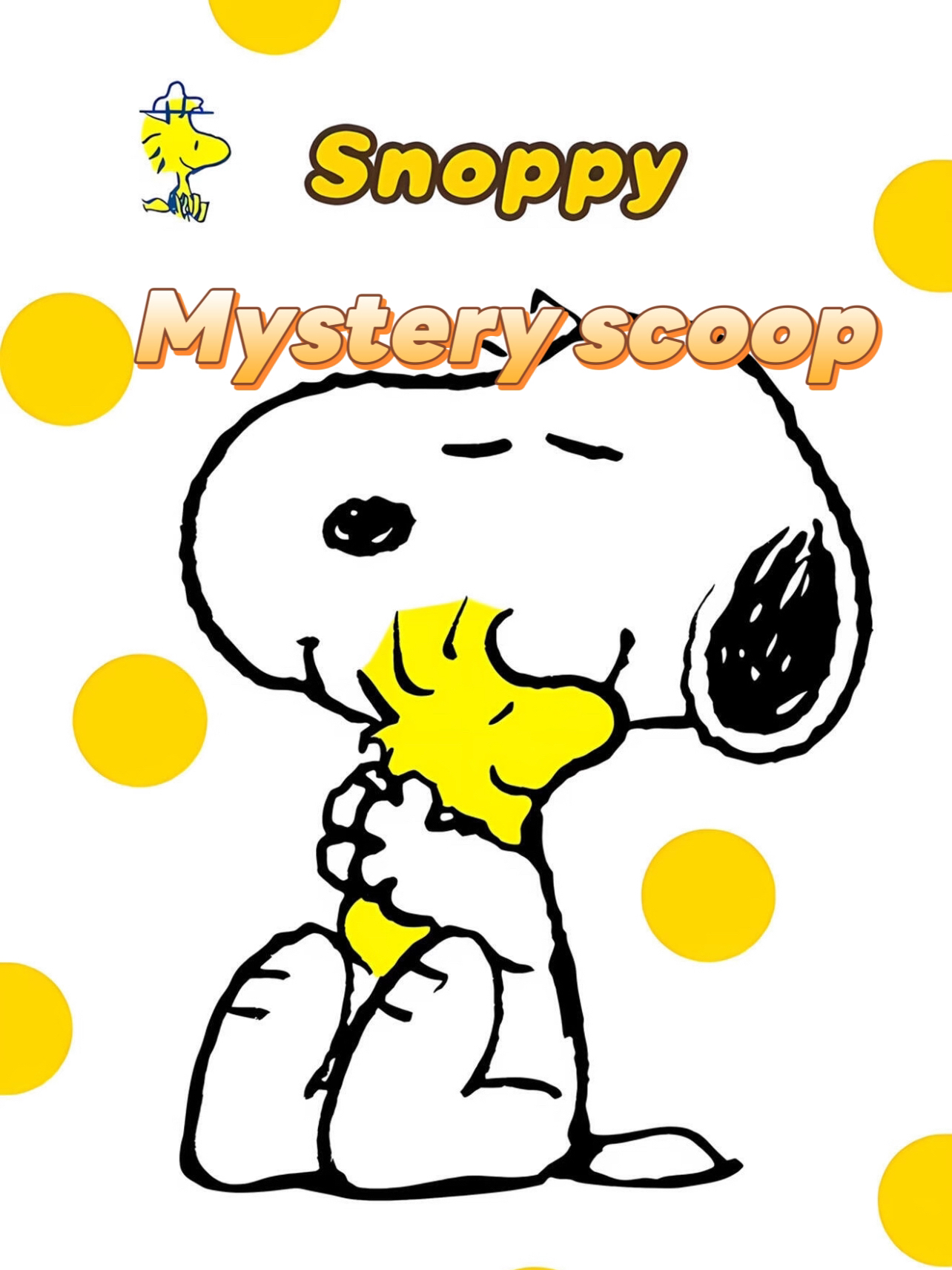 Snoppy Mystery Scoop