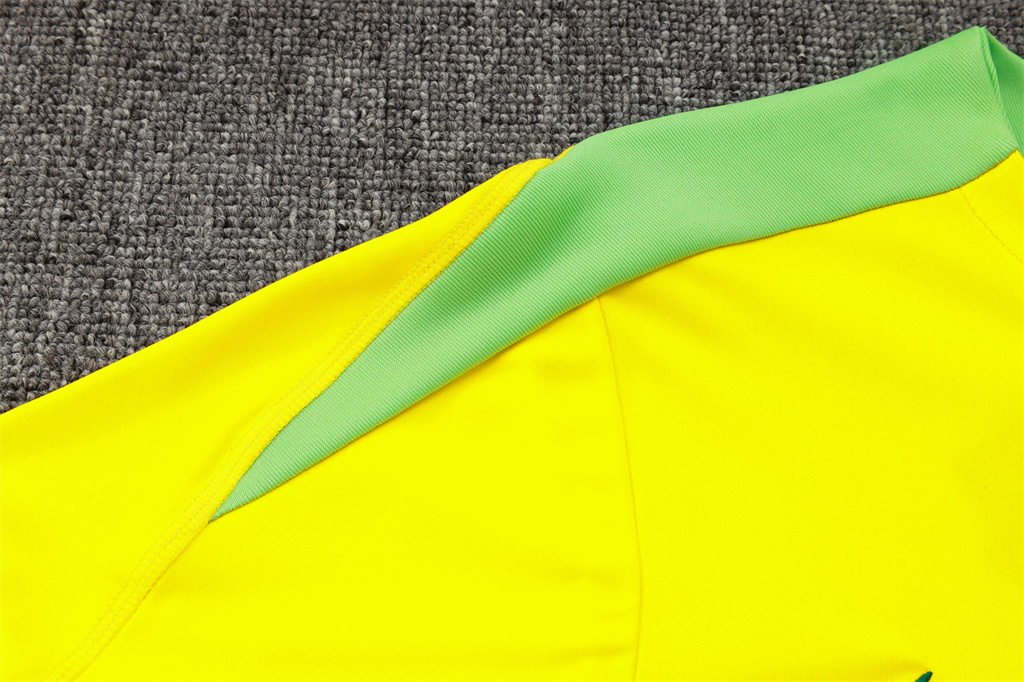 Brazil Training Short sleeve Jersey 24/25