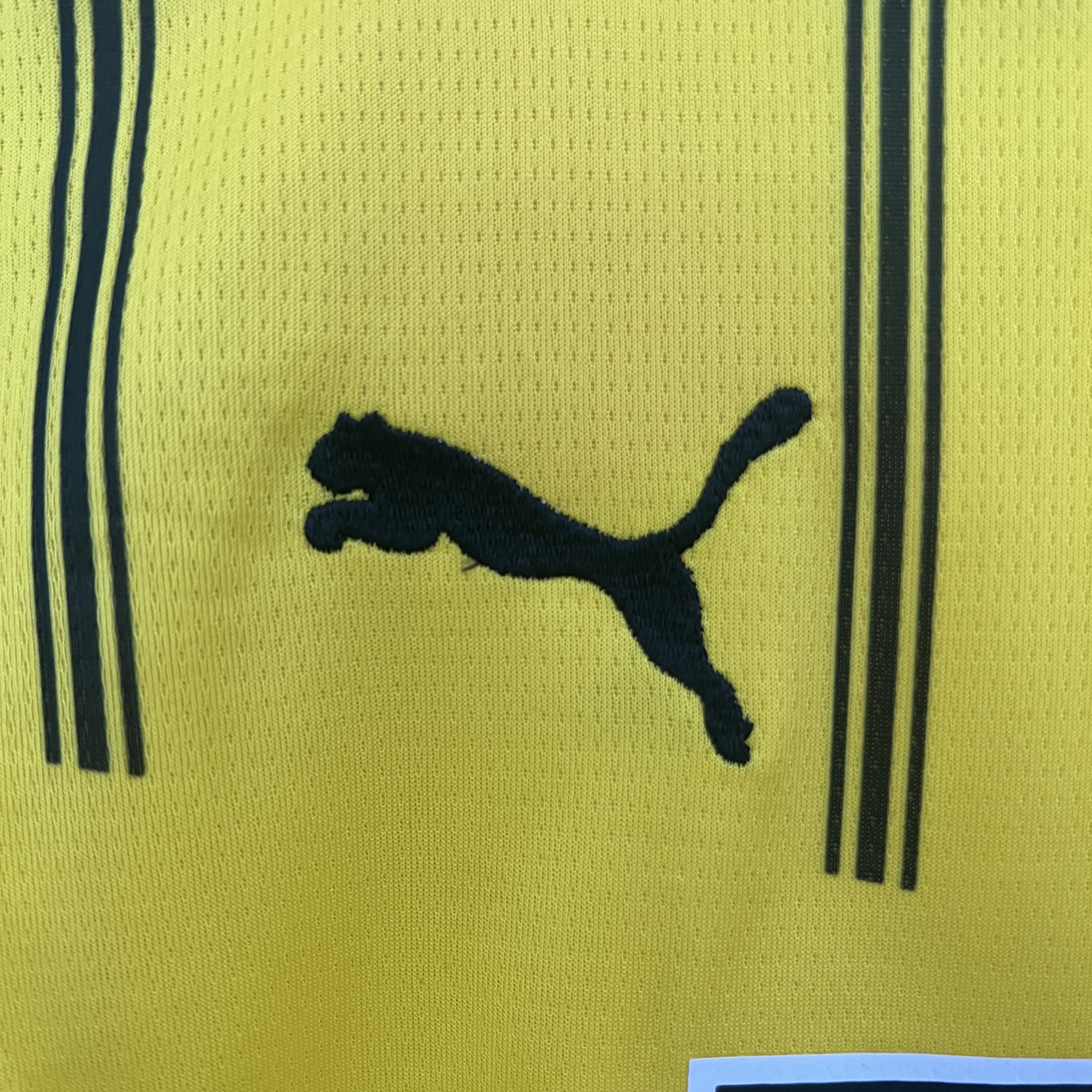 Borussia Dortmund Home Kids Suit 24/25