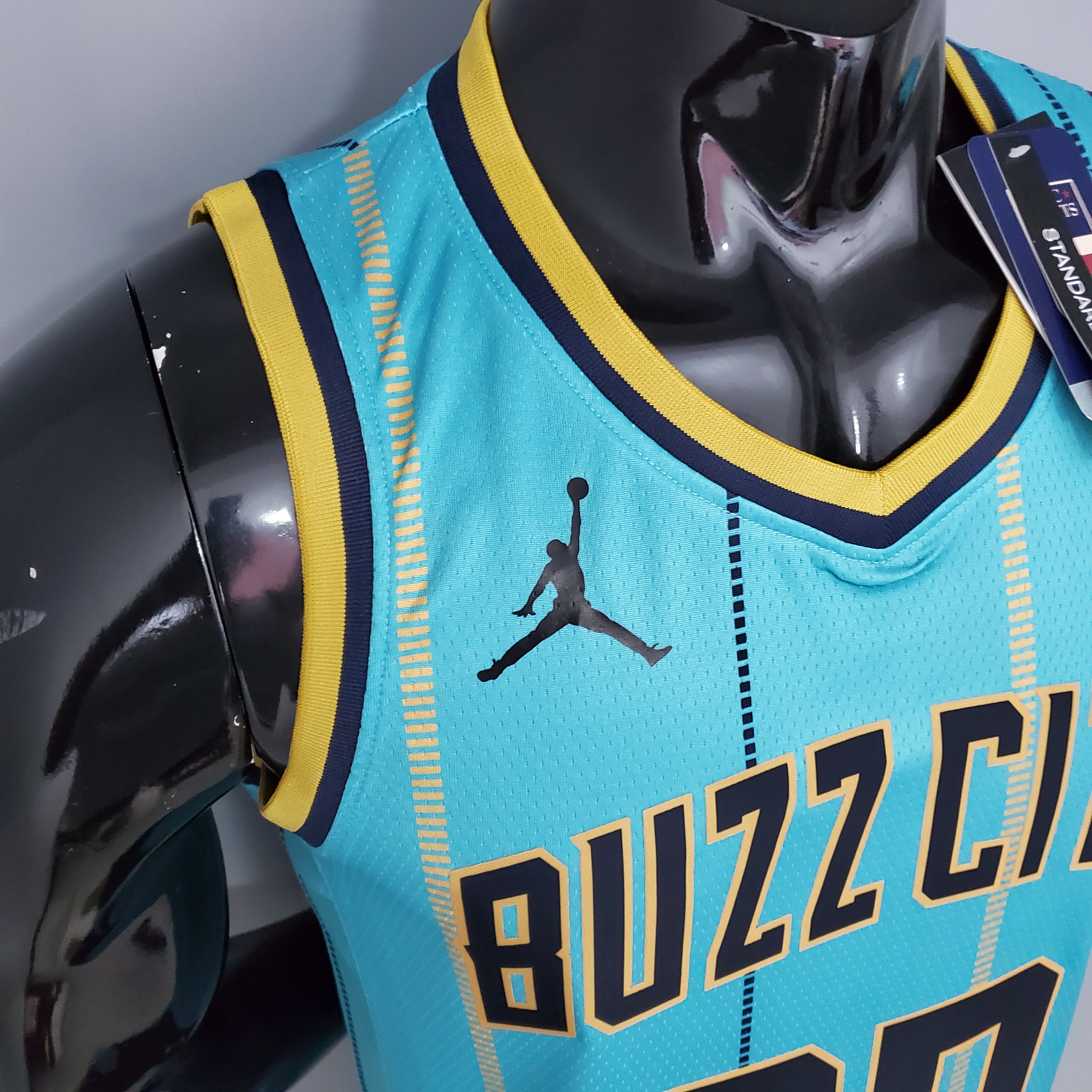 Gordon Hayward Charlotte Hornets Swingman Jersey Green