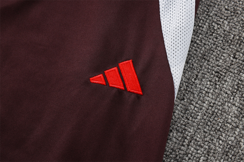 Bayern Munich POLO Jersey 24/25