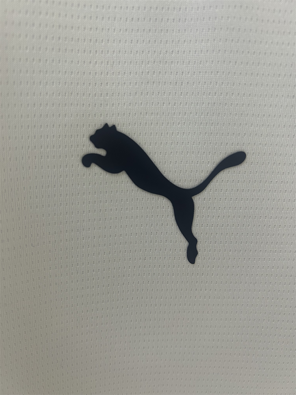 Portugal 2025 Training Man Jersey