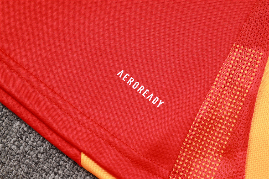 Bayern Munich Training Jersey Suit 24/25