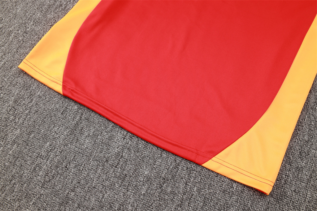 Bayern Munich Training Jersey Suit 24/25