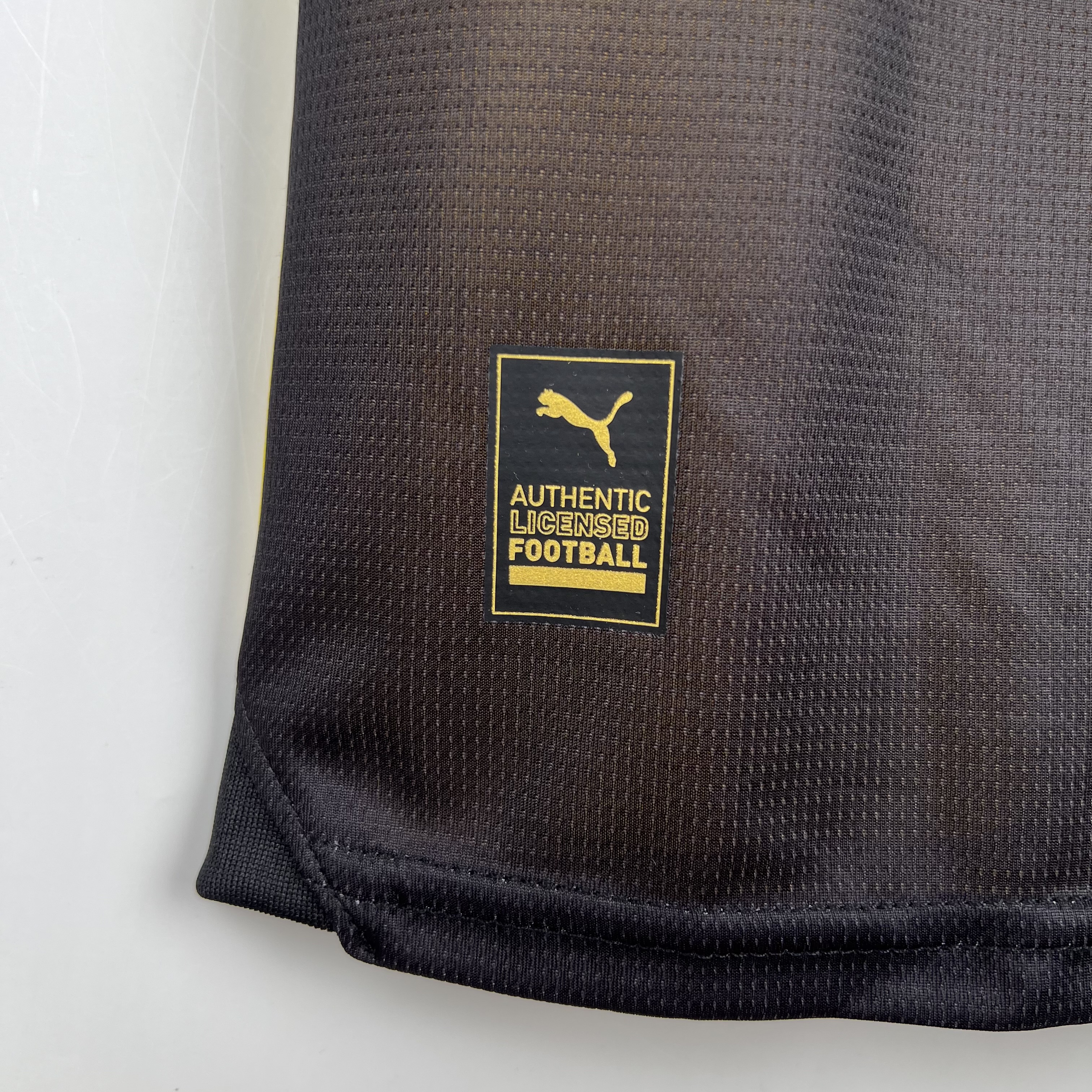 Borussia Dortmund Home Man Jersey 23/24