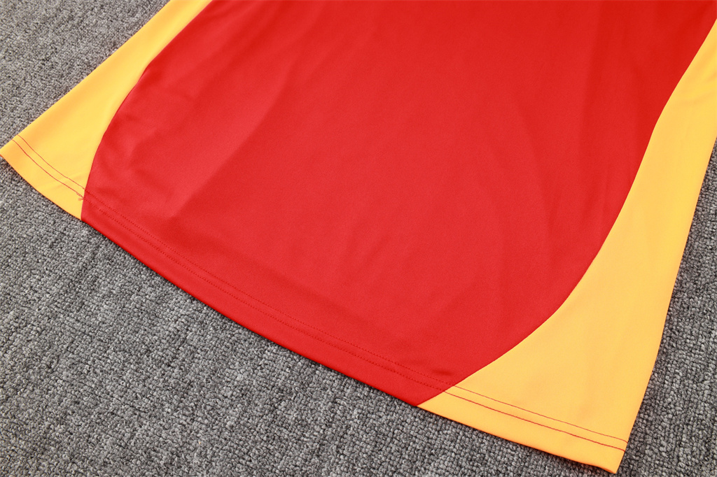 Bayern Munich Training Short sleeve Jersey 24/25