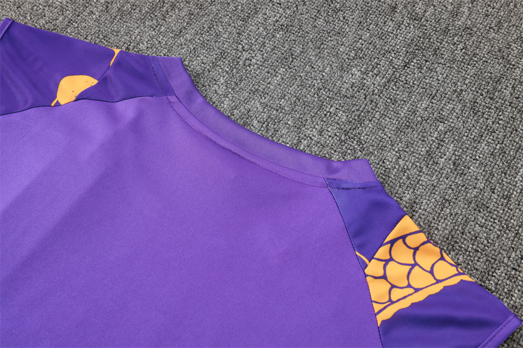 Real Madrid Training Jersey 24/25