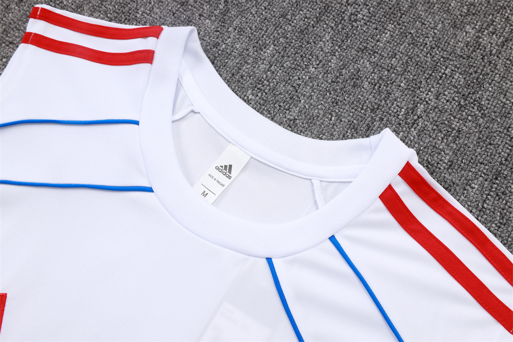 Bayern Munich Training Jersey 25/26