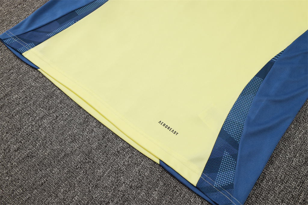 Ajax Training Jersey 24/25