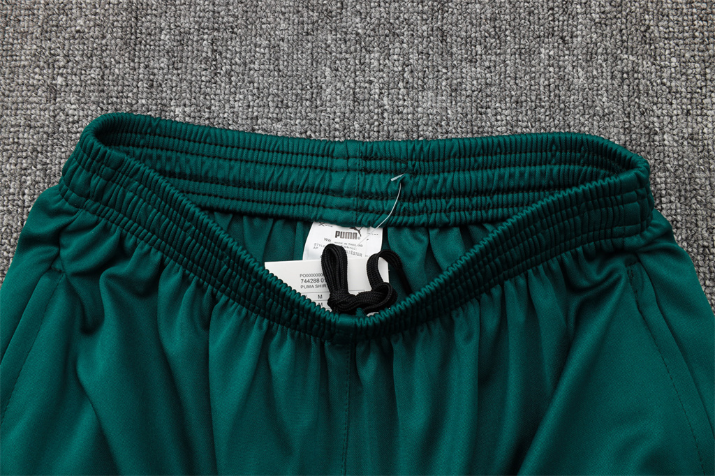 Palmeiras Training Short sleeve Suit 24/25