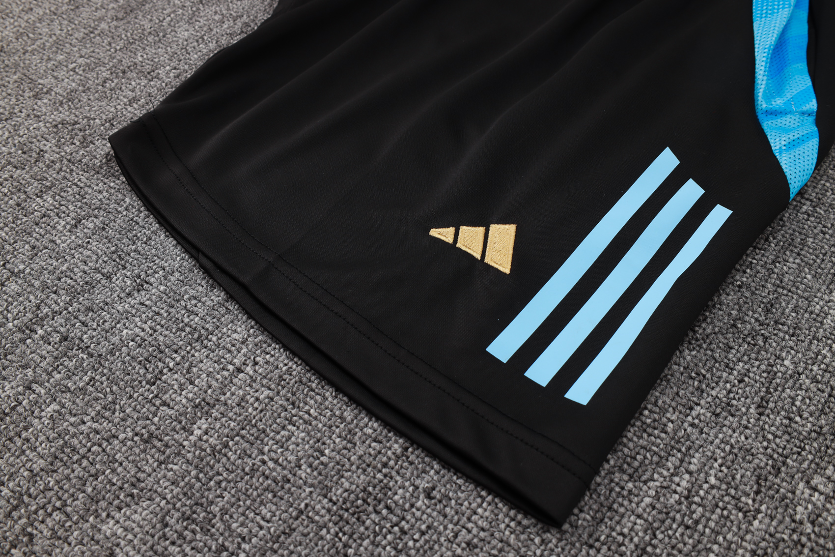Argentina Training Jersey 24/25