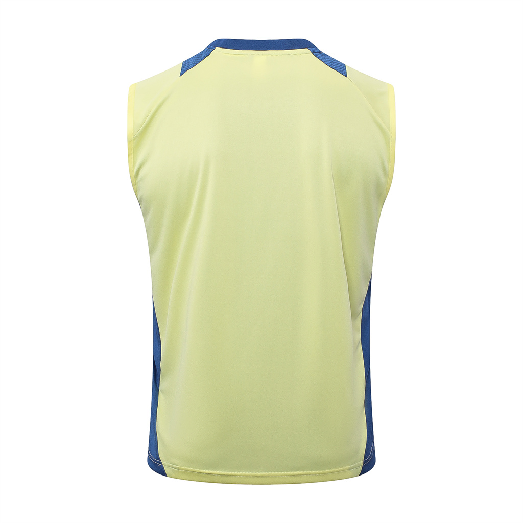 Ajax Training Jersey 24/25